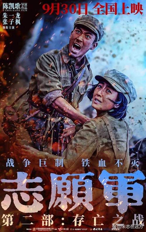 浴血大青山在线观看_抗日剧浴血青春在线观看_浴血大青山电视全集